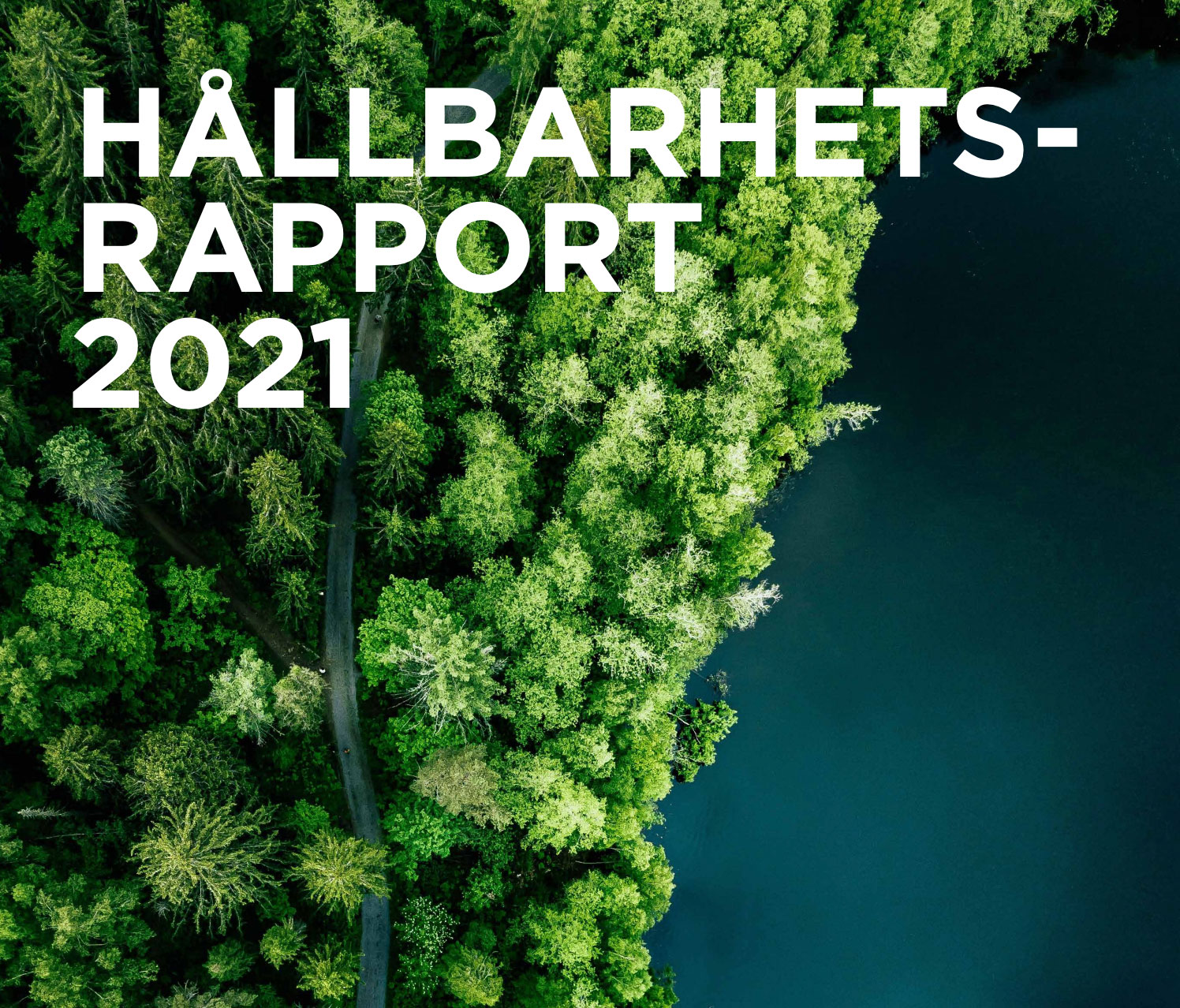 Hallbarhets Rapport